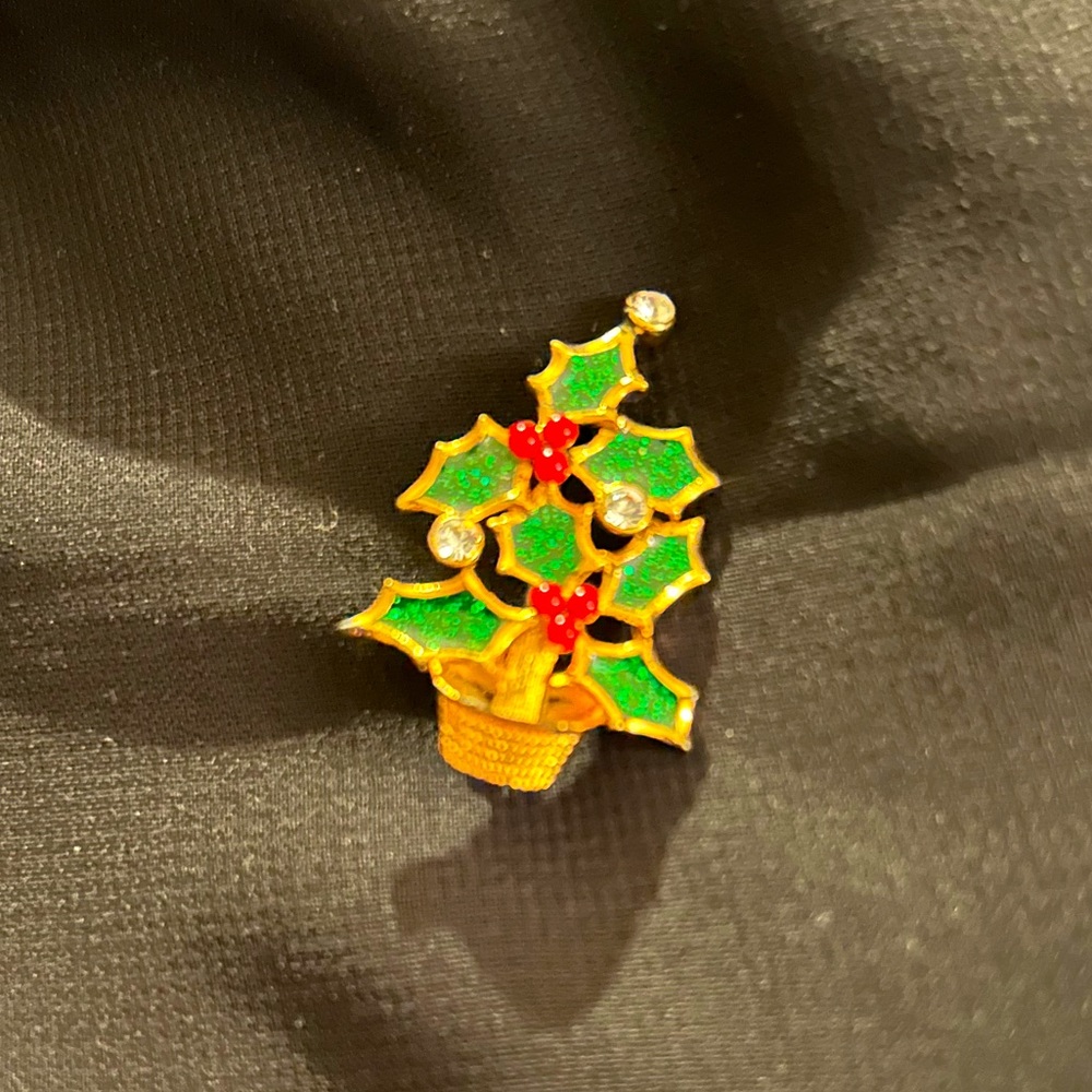VTG Enamel and Rhinestone Christmas brooch. By Nina Ricci for Avon. Pretty!!